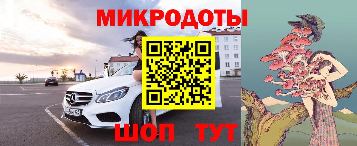 Псилоцибиновые грибы Psilocybine cubensis Сафоново